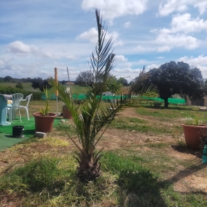 VENTA PARCELA EN CAMPOMANES 