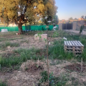 VENTA PARCELA EN CAMPOMANES 