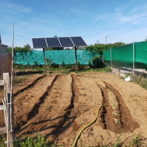 VENTA PARCELA EN CAMPOMANES 