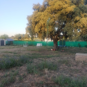VENTA PARCELA EN CAMPOMANES 