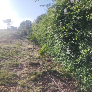 VENTA PARCELA EN CAMPOMANES 