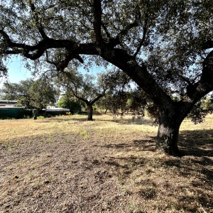 VENTA PARCELA EN TRES ARROS