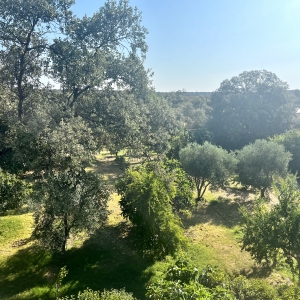 VENTA PARCELA EN TRES ARROYOS