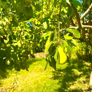 VENTA PARCELA EN TRES ARROYOS