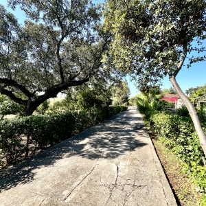 VENTA PARCELA EN TRES ARROYOS