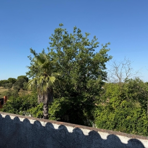 VENTA CHALET EN LAS ROZILLAS