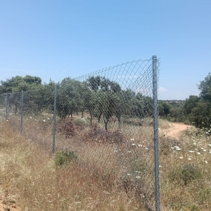 VENTA DE PARCELA EN DEHESILLA DE CALAMON