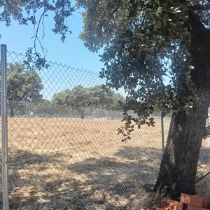 VENTA DE PARCELA EN DEHESILLA DE CALAMON