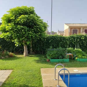 VENTA CHALET EN LOS MONTITOS